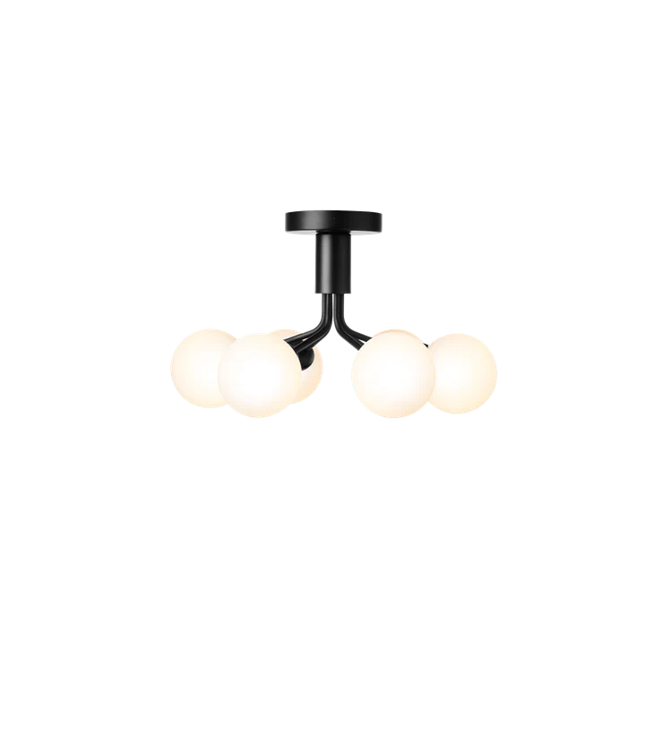 Apiales 6 Ceiling Lamp