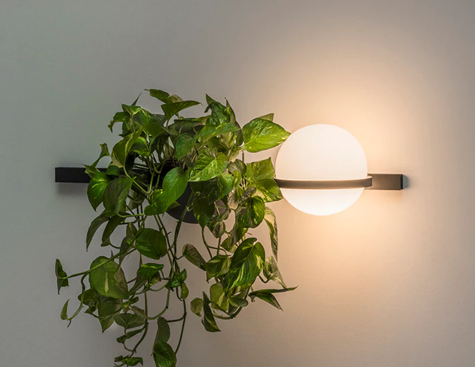 Palma Lineal Wall Lamp
