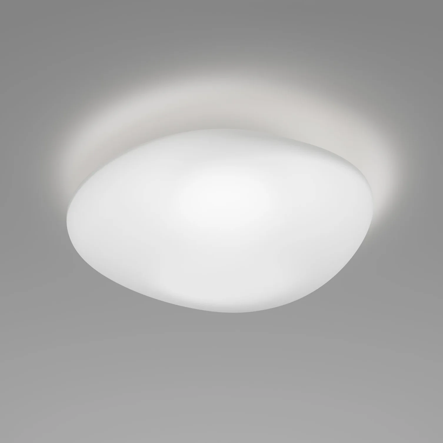 NEOCHIC Ceiling/Wall Lamp