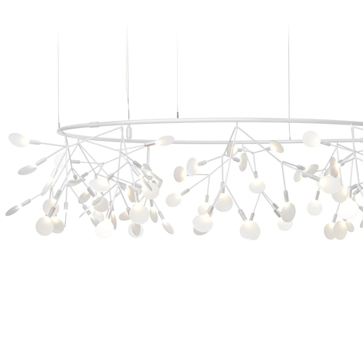 HERACLEUM III The Big O