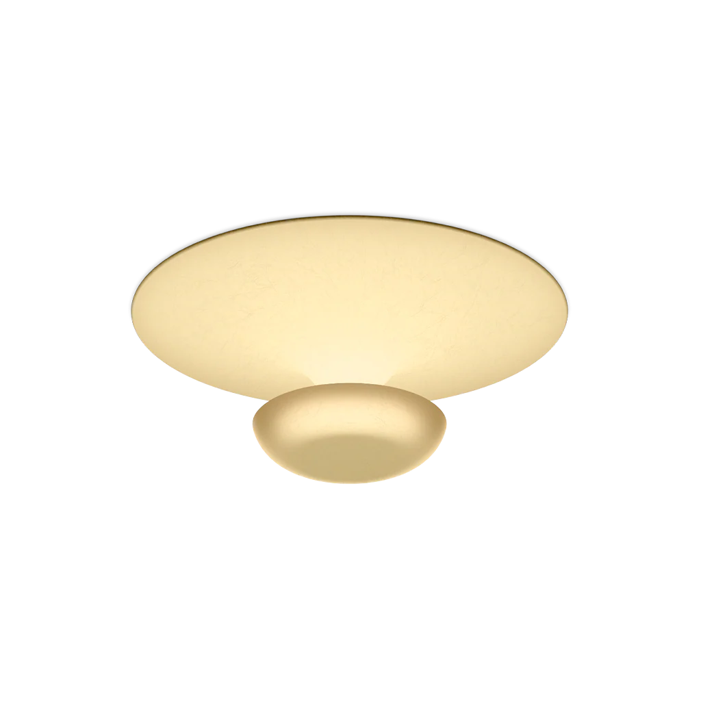 Funnel Ceiling/Wall Lamp