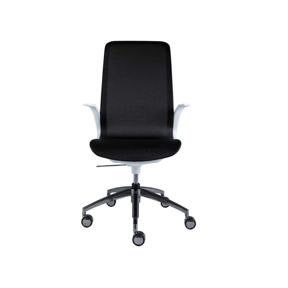 Smartlight EX4 Executive Chair
