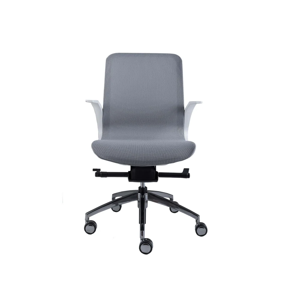 Smartlight EX2 Executive Chair