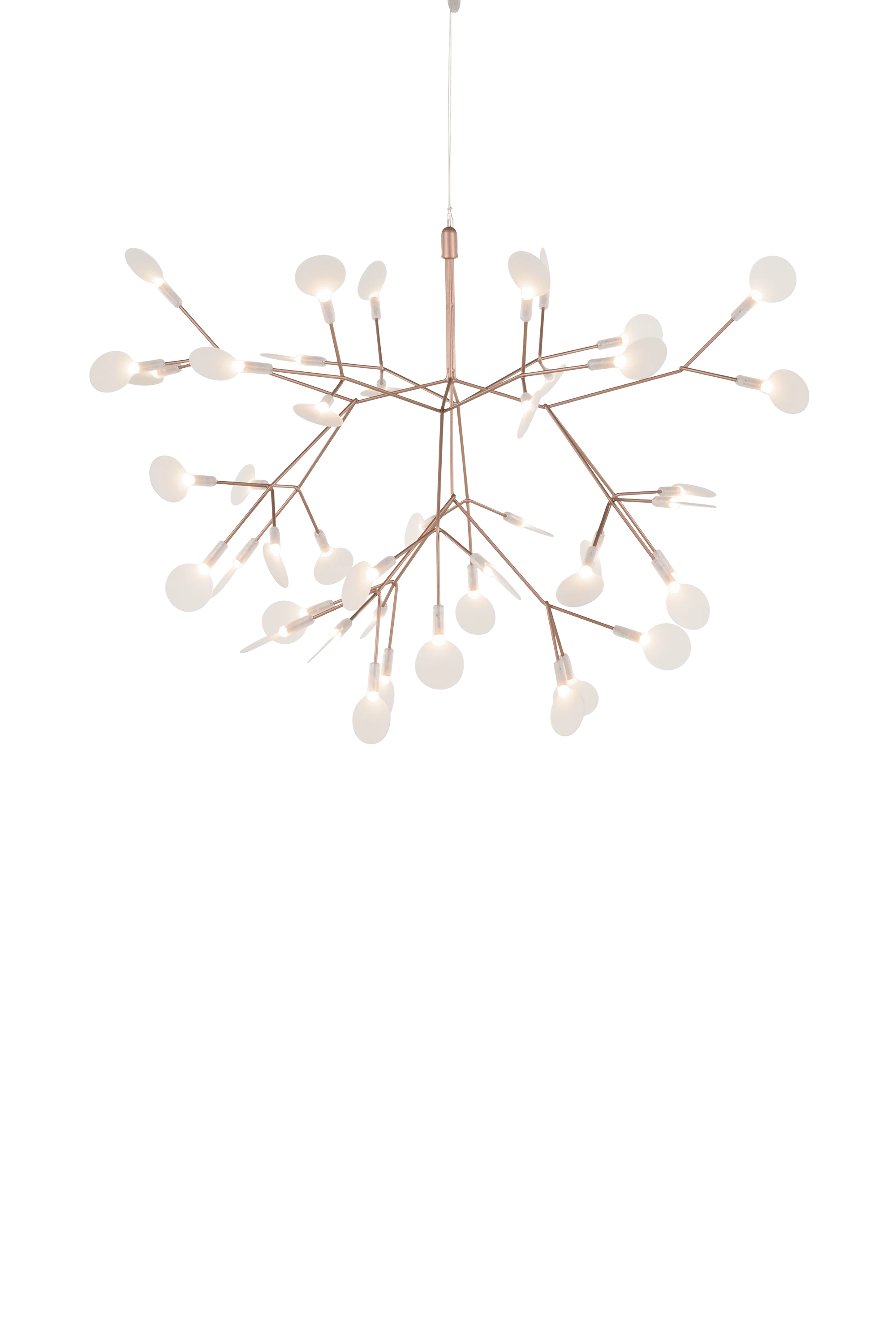 HERACLEUM III Suspended