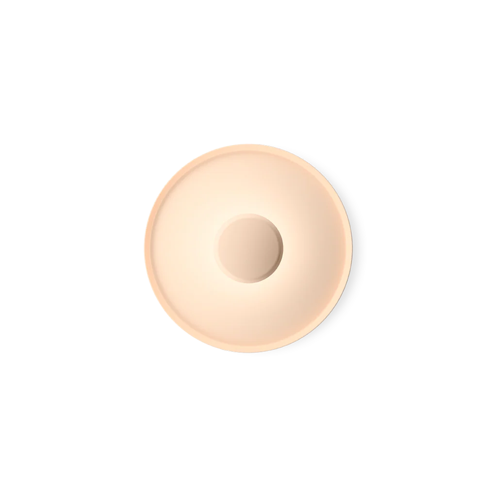 Top Ceiling/Wall Lamp