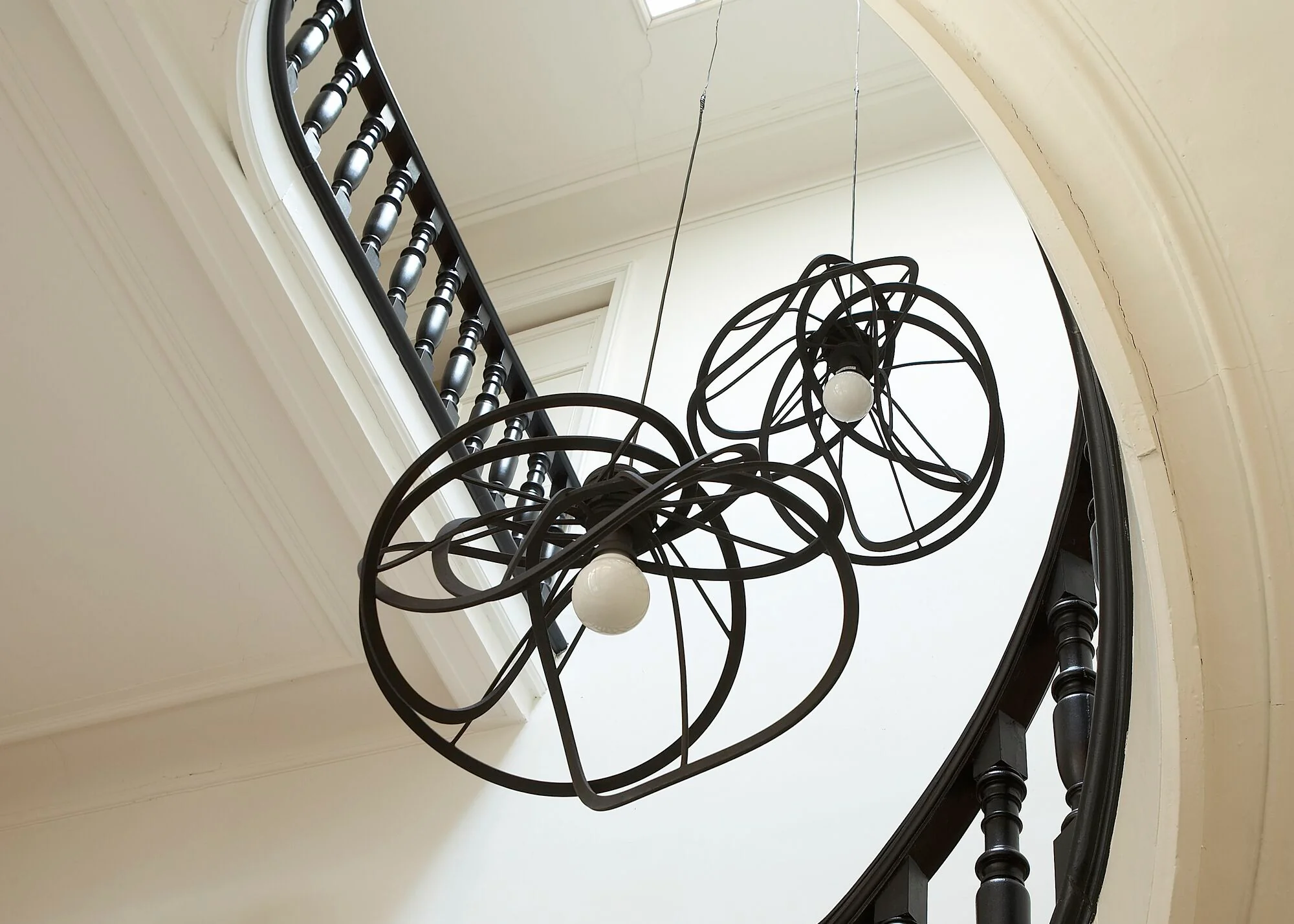 Bloom Suspended Ceiling Light Black