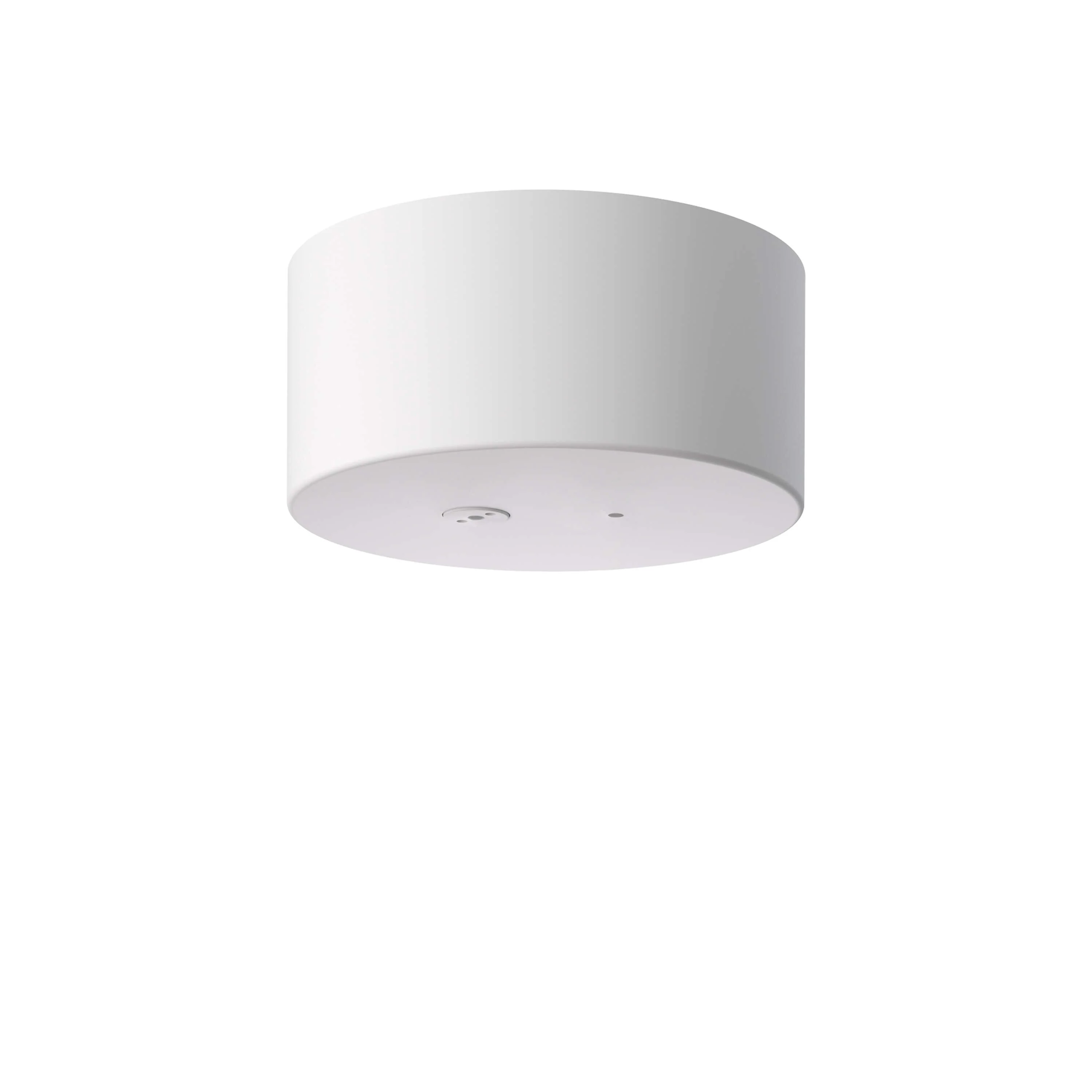 My Lines Rose Accessories