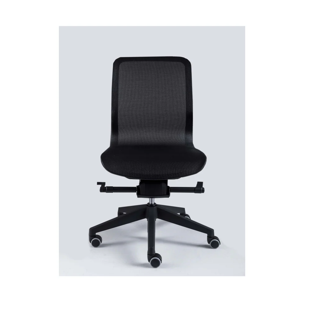Smartlight EX3 Executive Chair