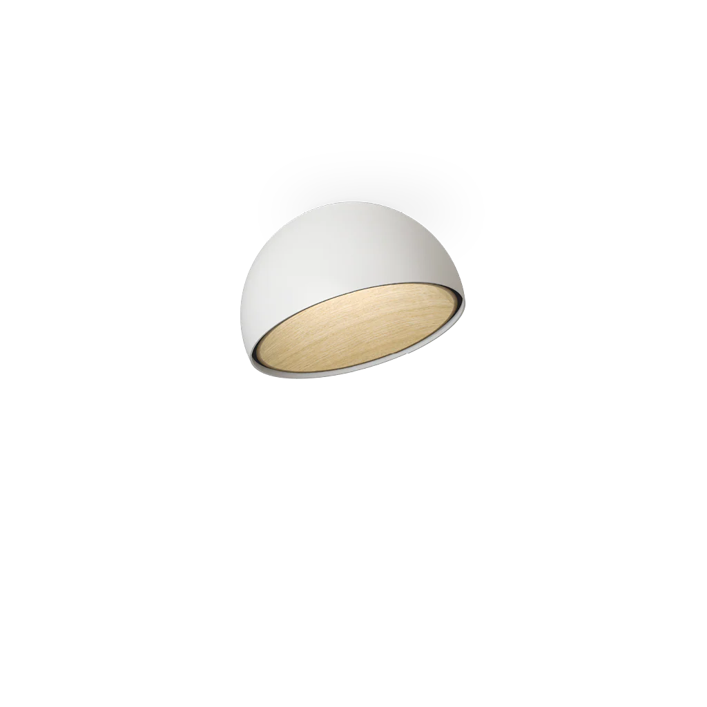 Duo Ceiling Lamp