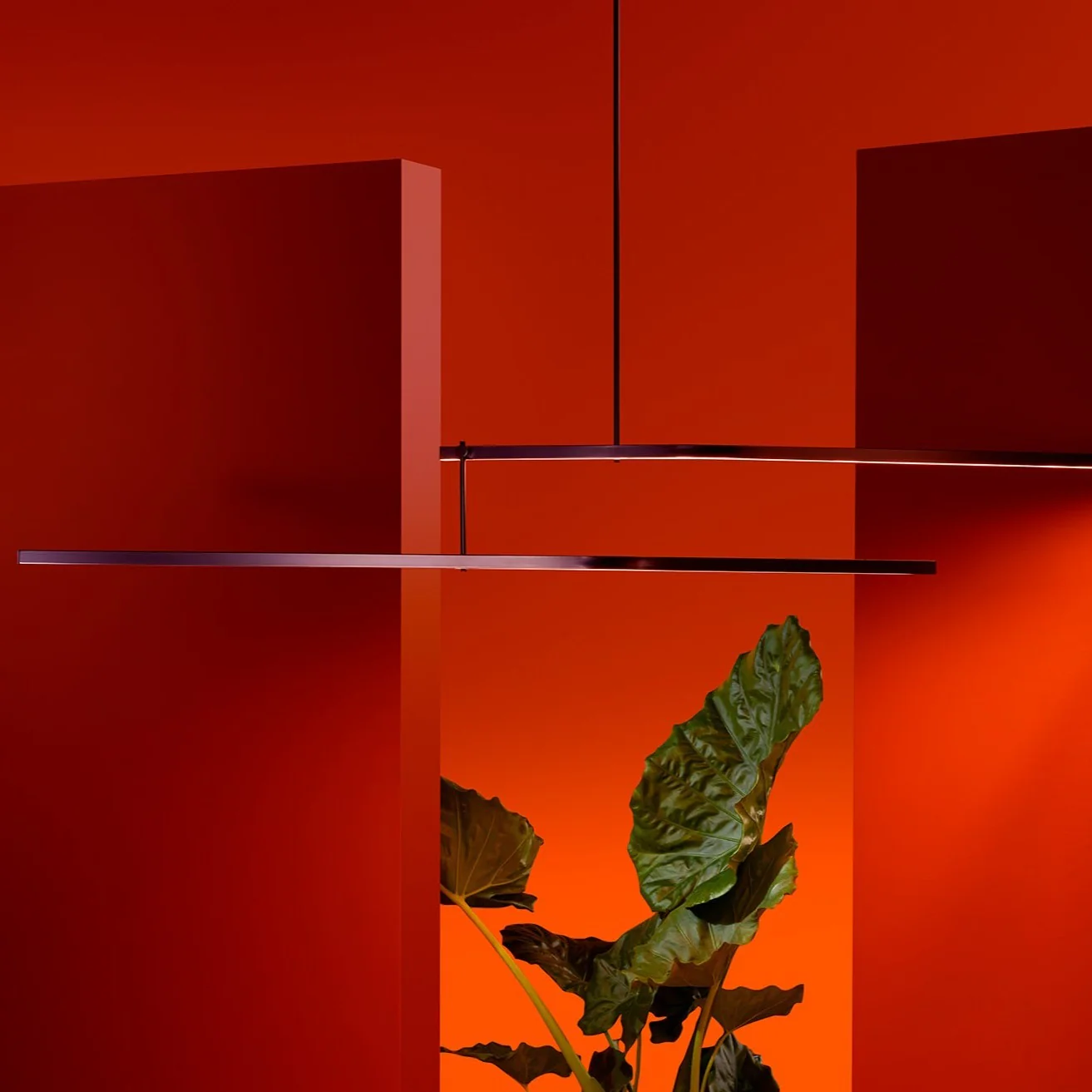 NITŌ Suspension Lamp