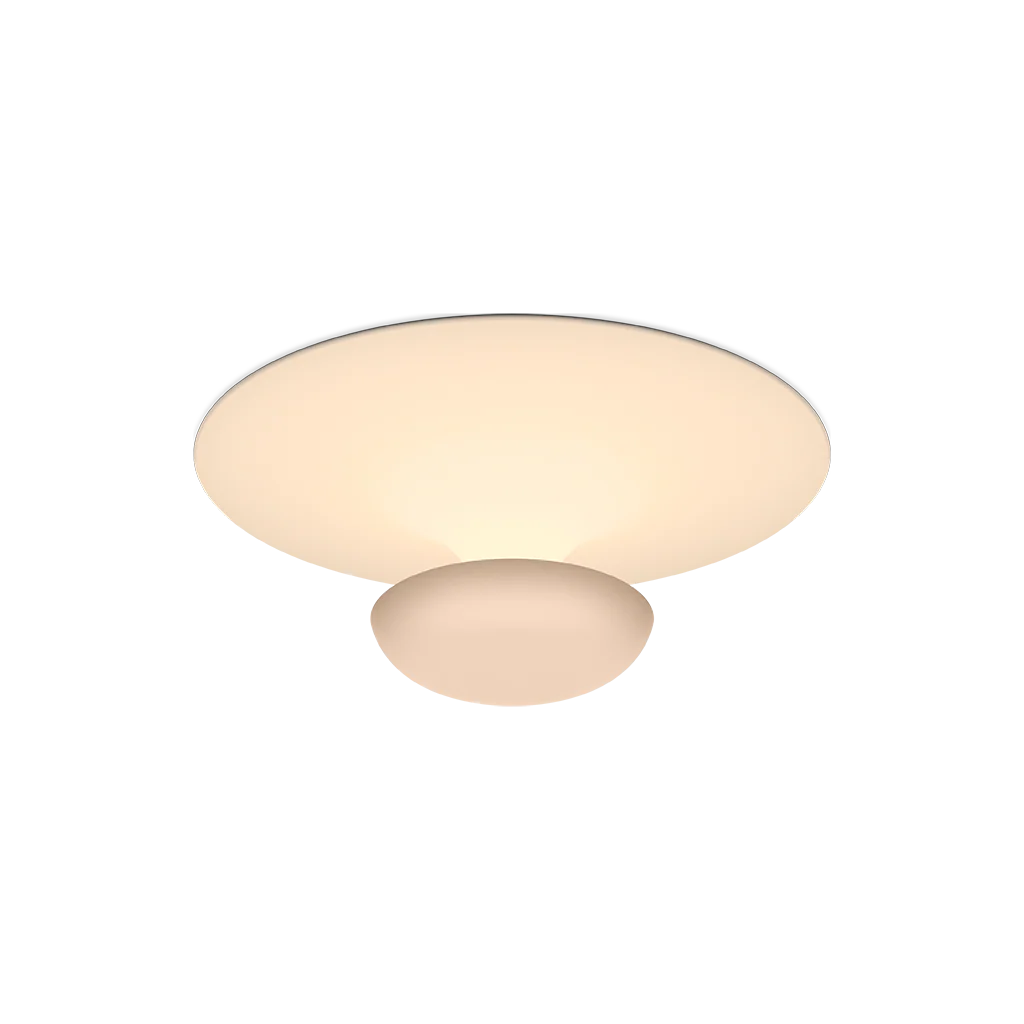 Funnel Ceiling/Wall Lamp