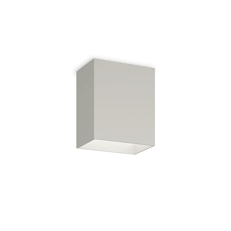 Structural Ceiling Lamp