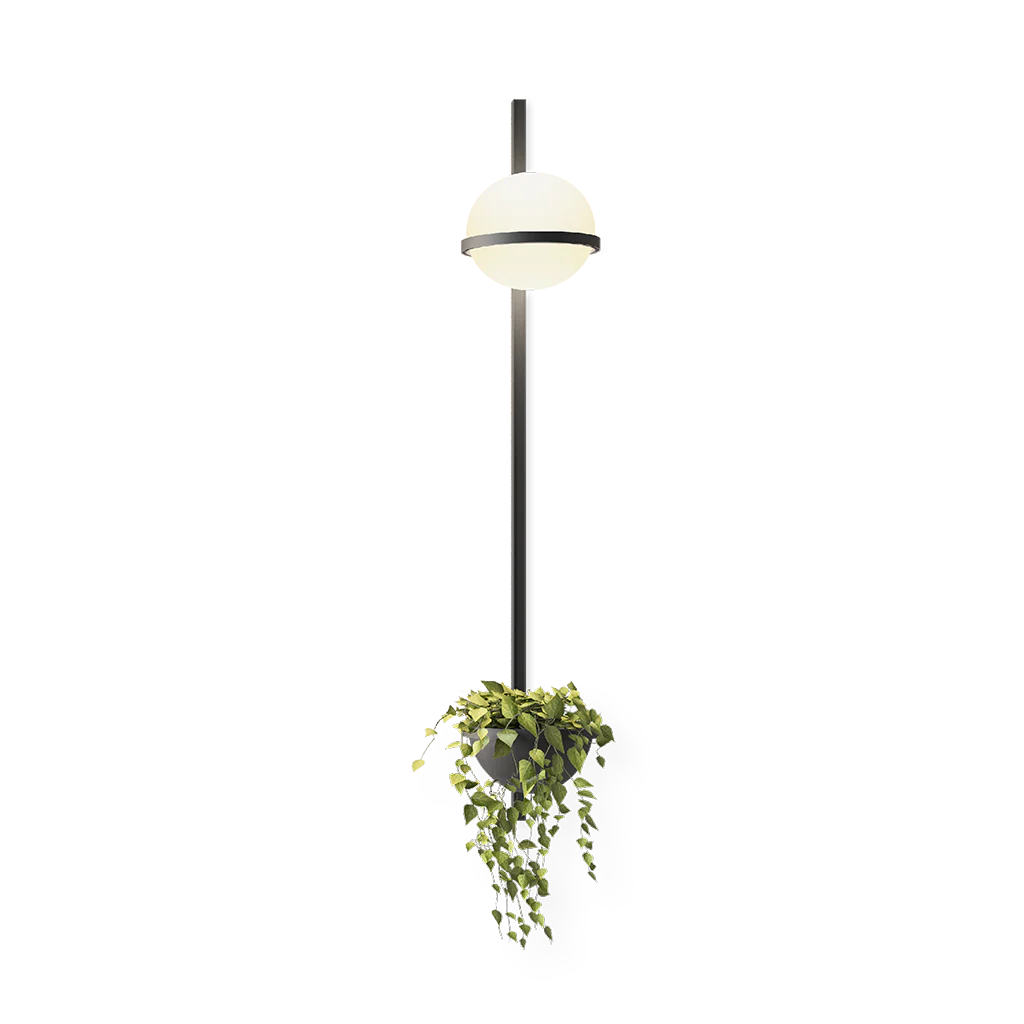 Palma Wall Lamp