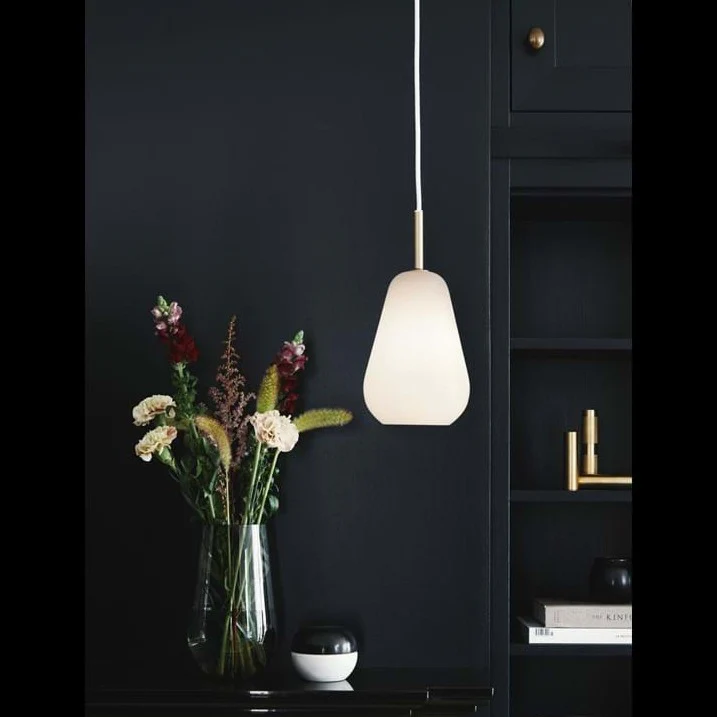 Anoli 1 Suspension Lamp