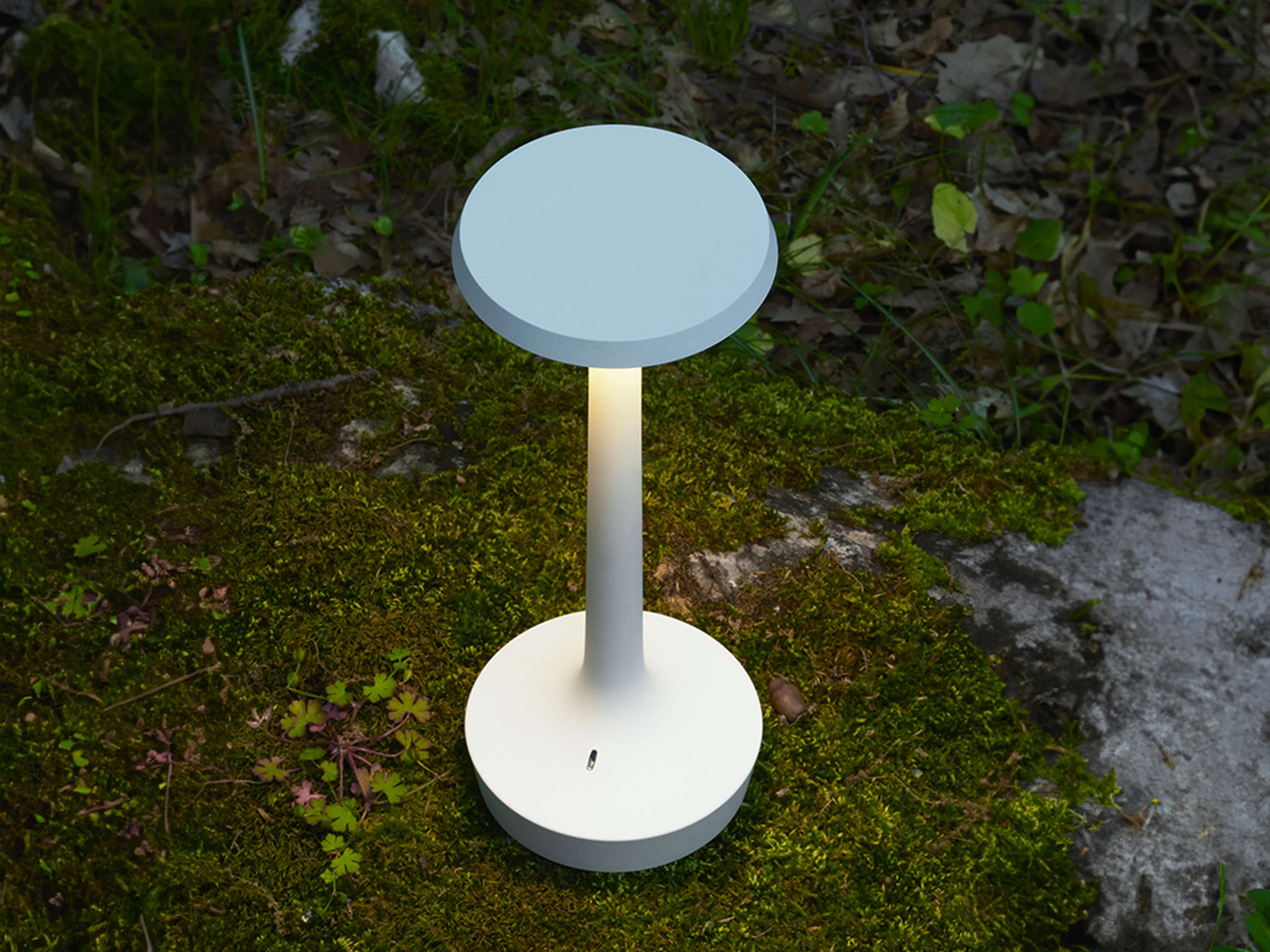 Bon Jour Unplugged Table Lamps