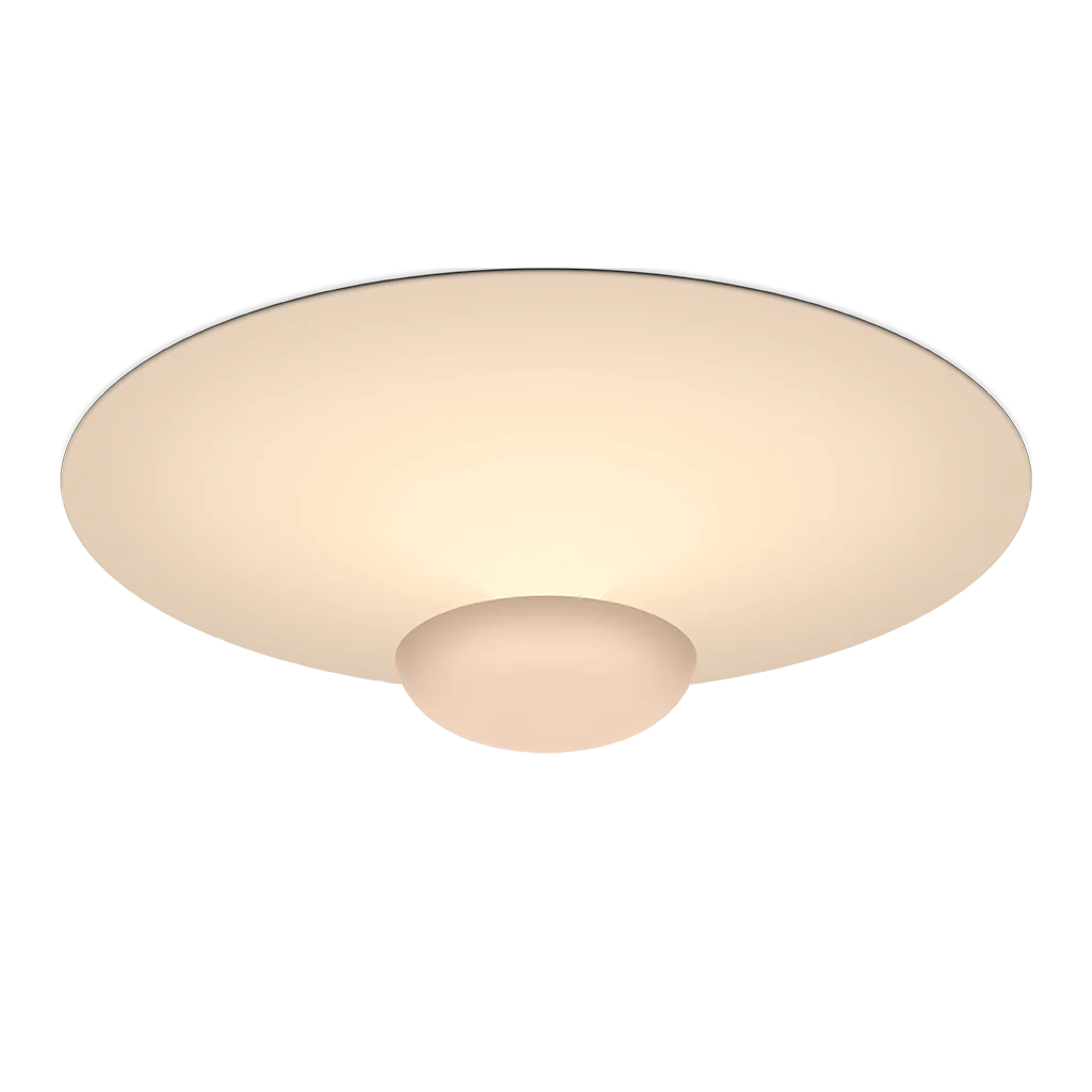 Funnel Ceiling/Wall Lamp