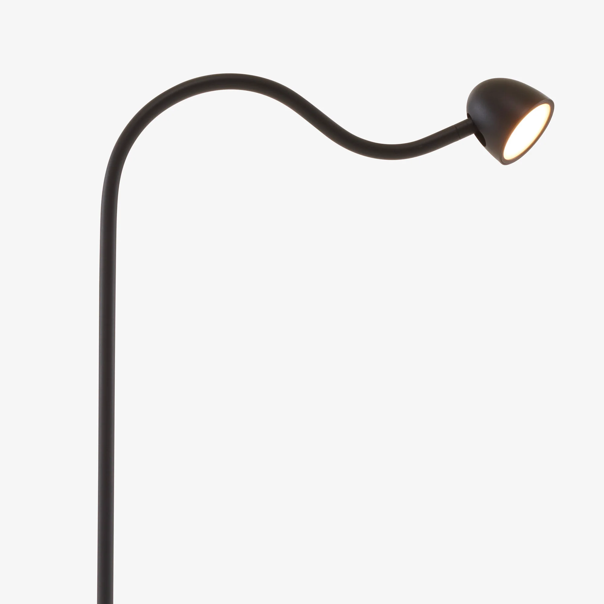 Lash Reading Lamp