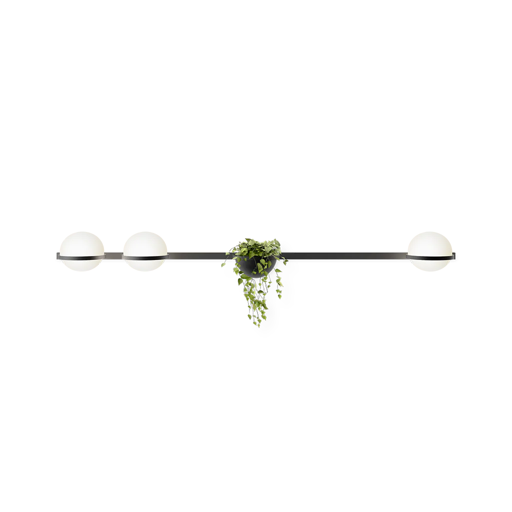 Palma Lineal Wall Lamp