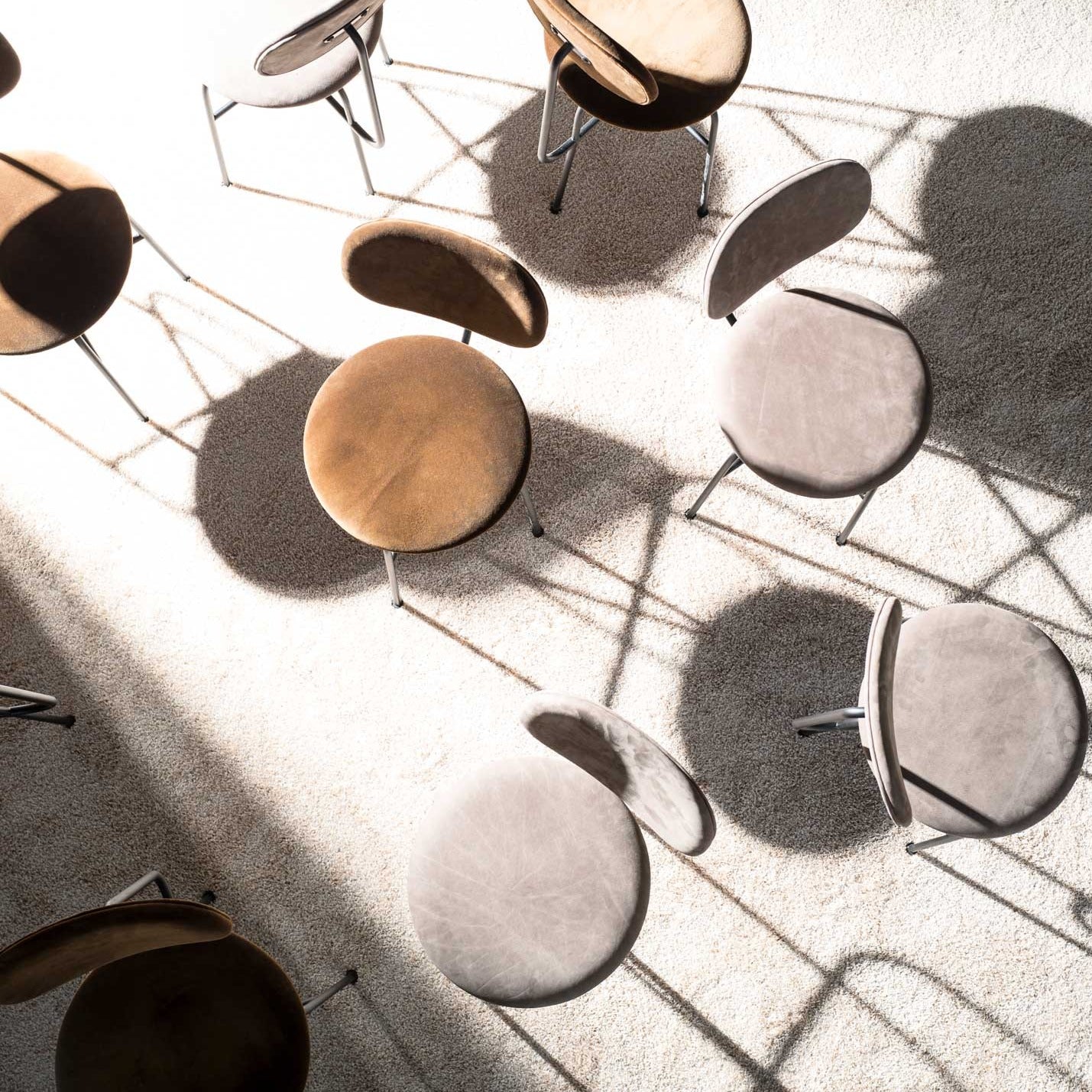 Afteroom Dining Chair Plus