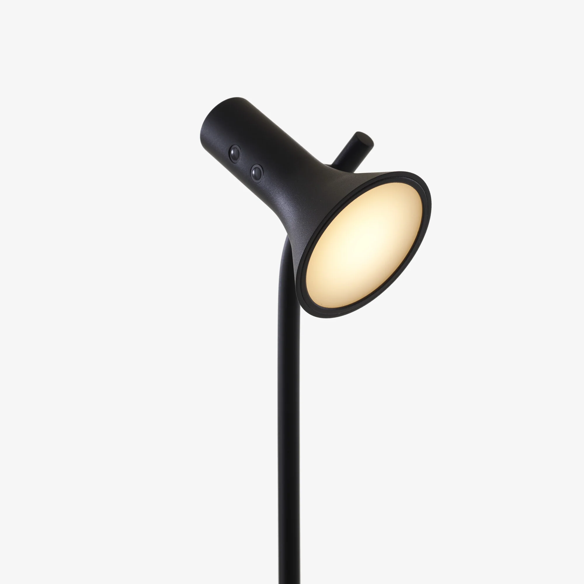 Asha Reading Lamp