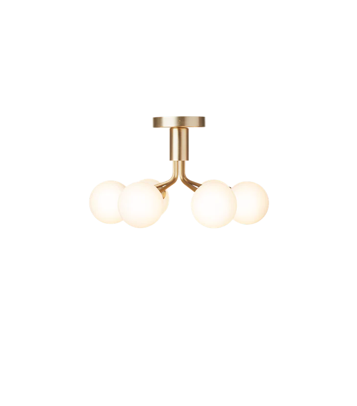 Apiales 6 Ceiling Lamp