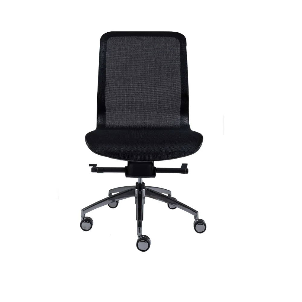Smartlight EX3 Executive Chair