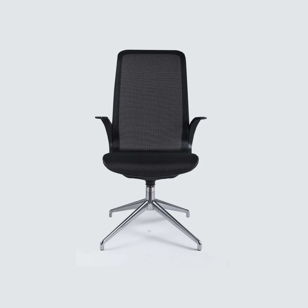 Smartlight EX12 Executive Chair