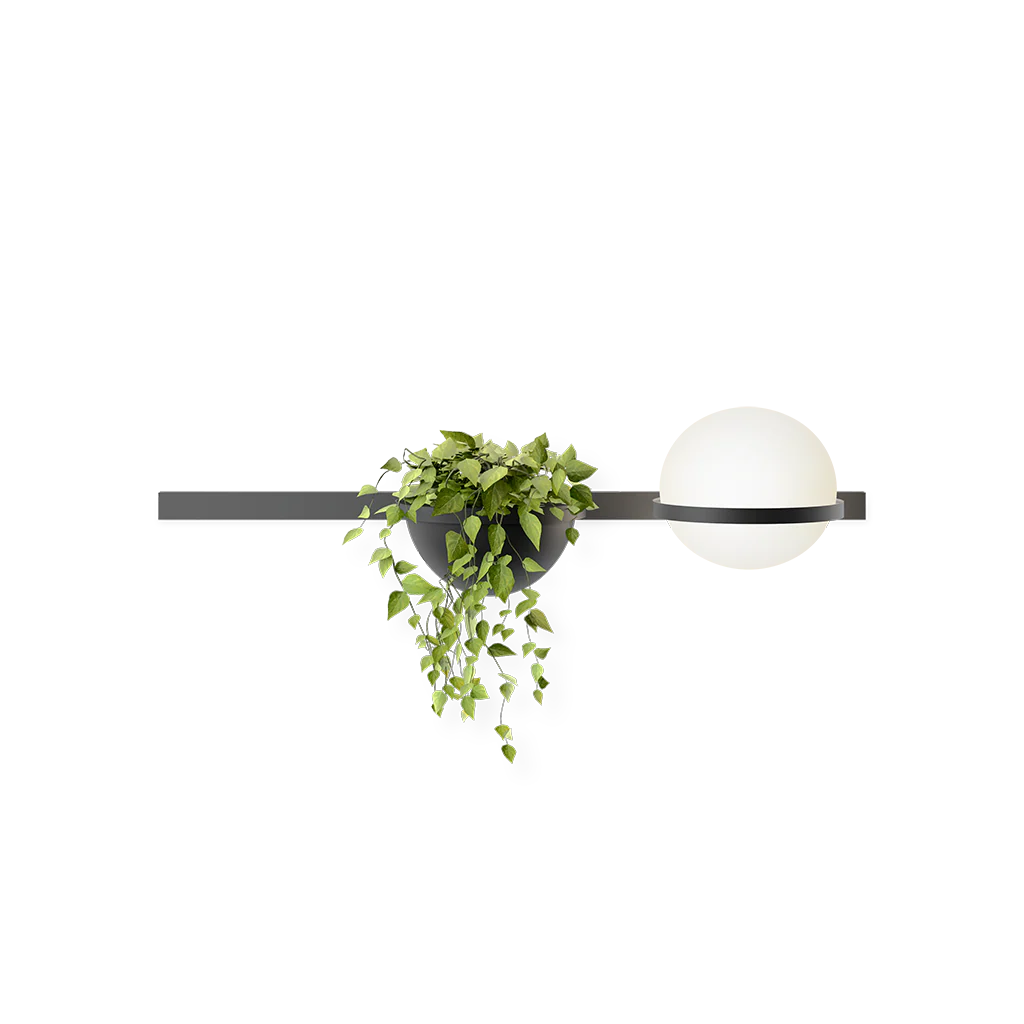 Palma Lineal Wall Lamp