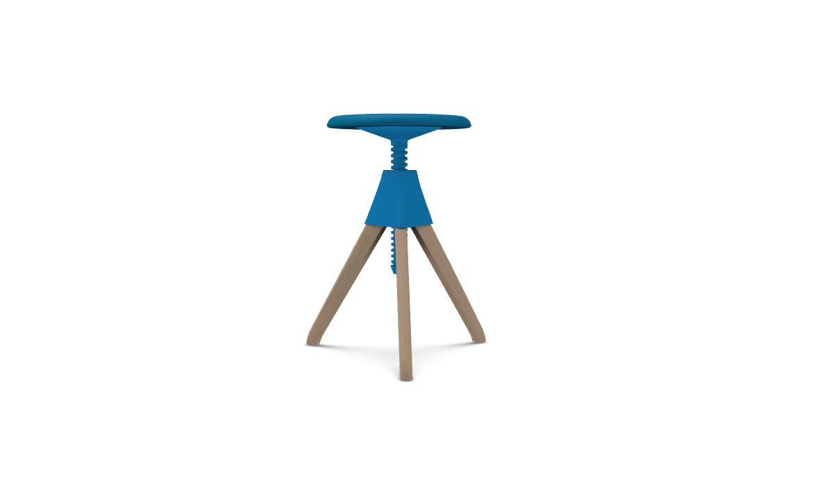 Jerry - The Wild Bunch