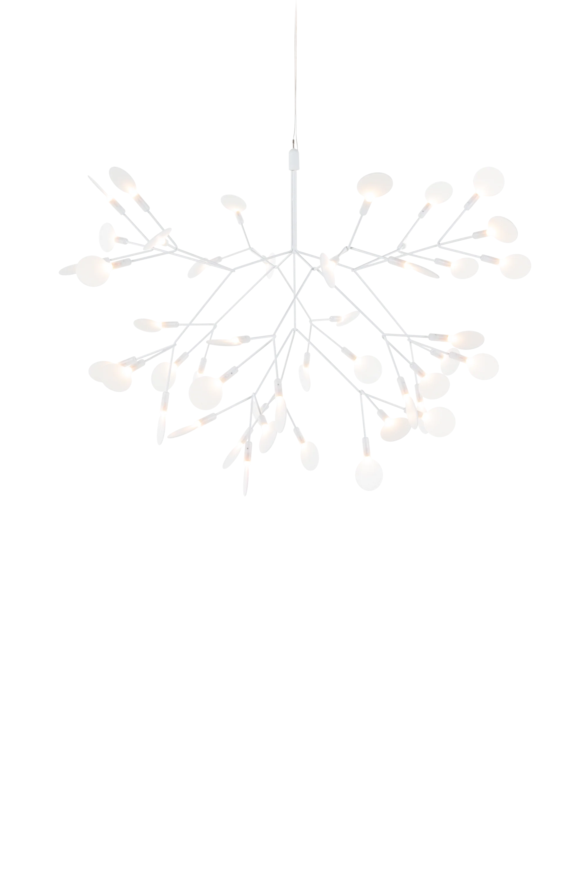 HERACLEUM III Suspended
