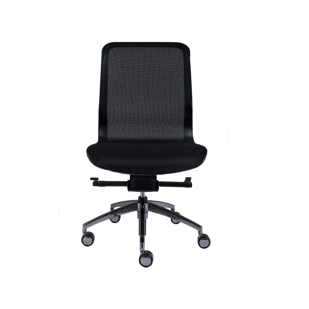 Smartlight EX3 Executive Chair