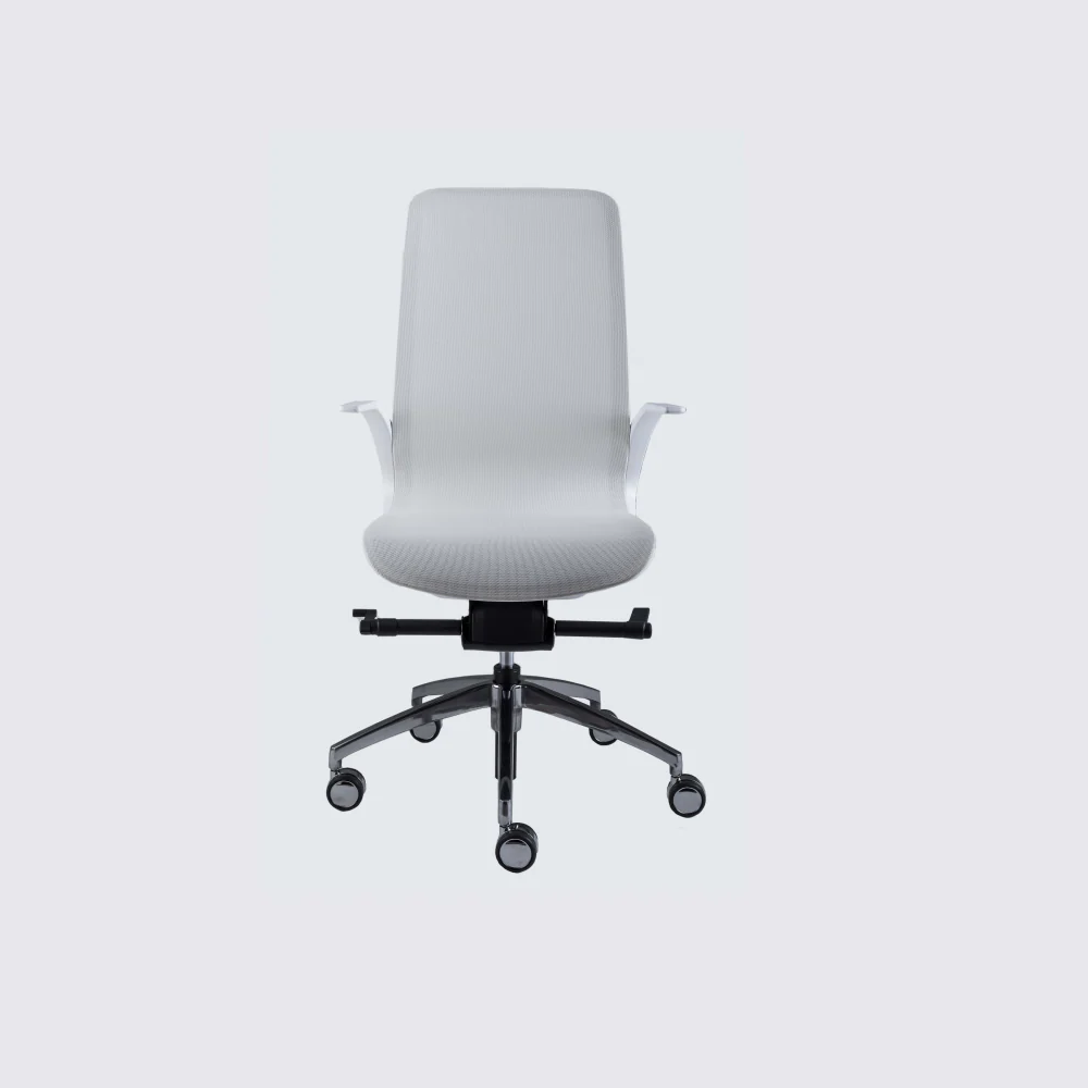 Smartlight EX1 Executive Chair