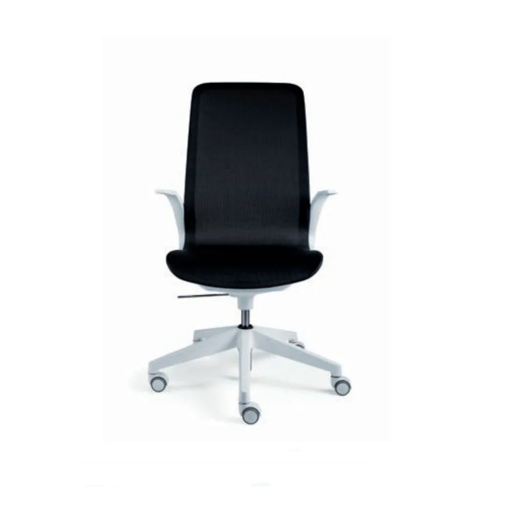 Smartlight EX7 Executive Chair
