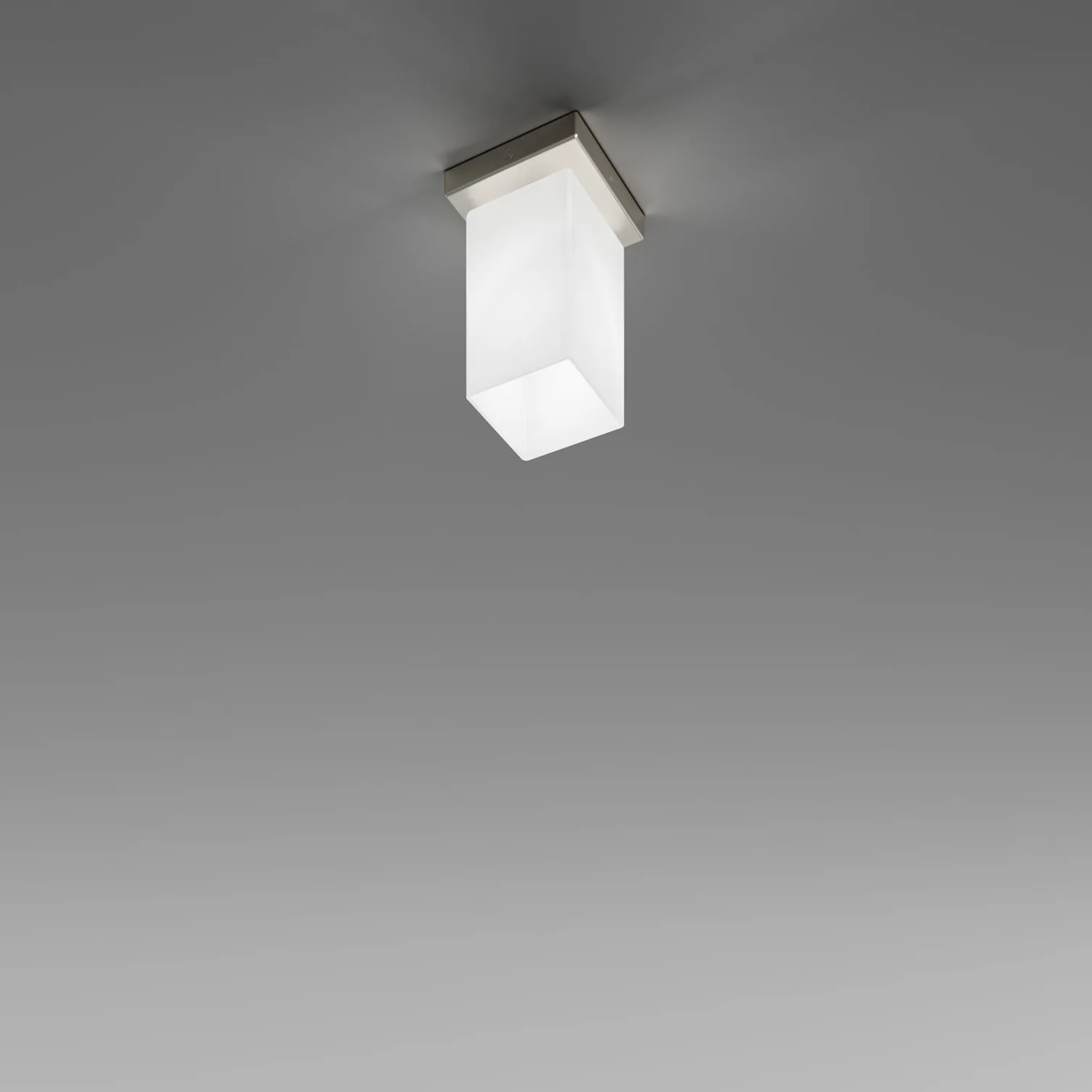 TUBES Ceiling Lamp