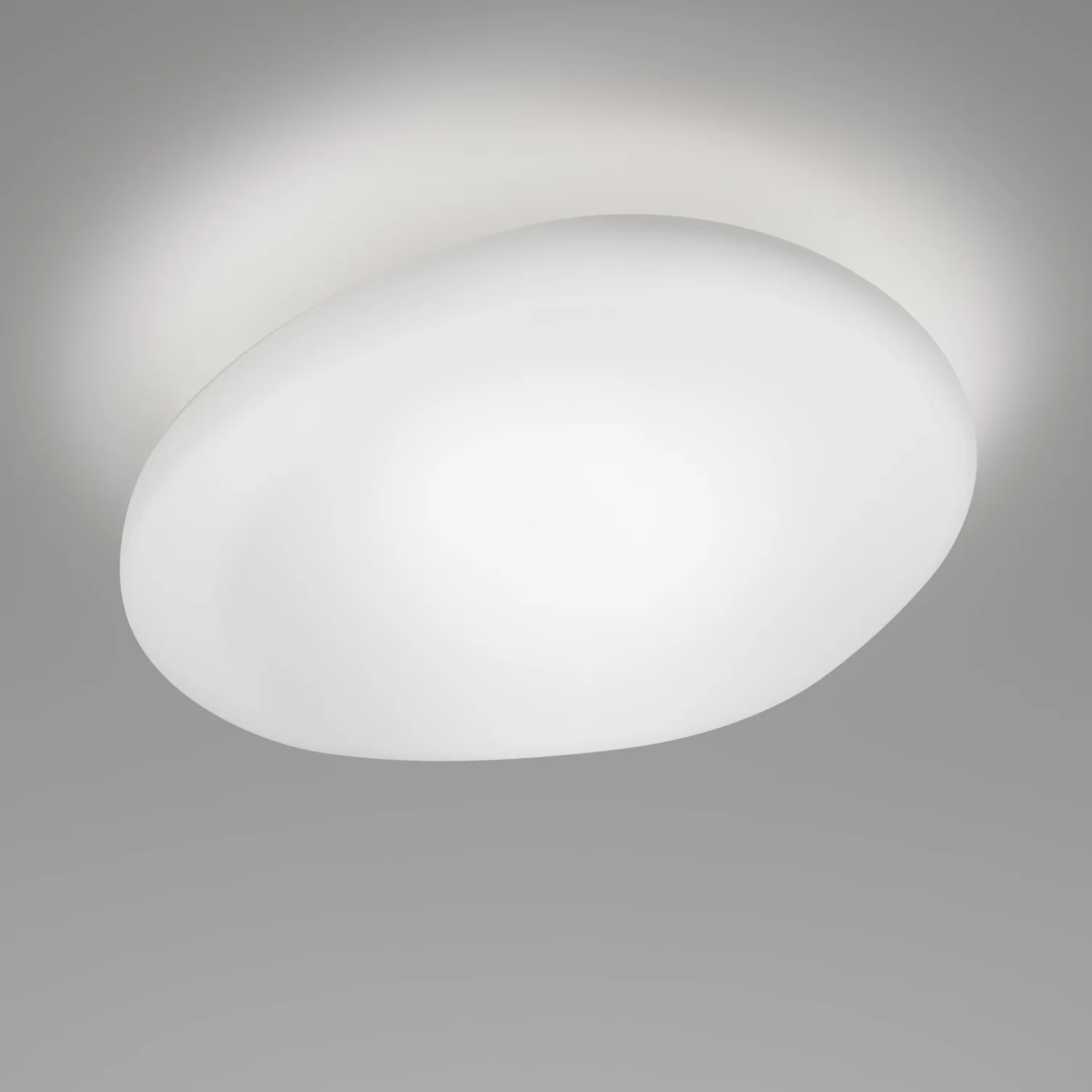 NEOCHIC Ceiling/Wall Lamp