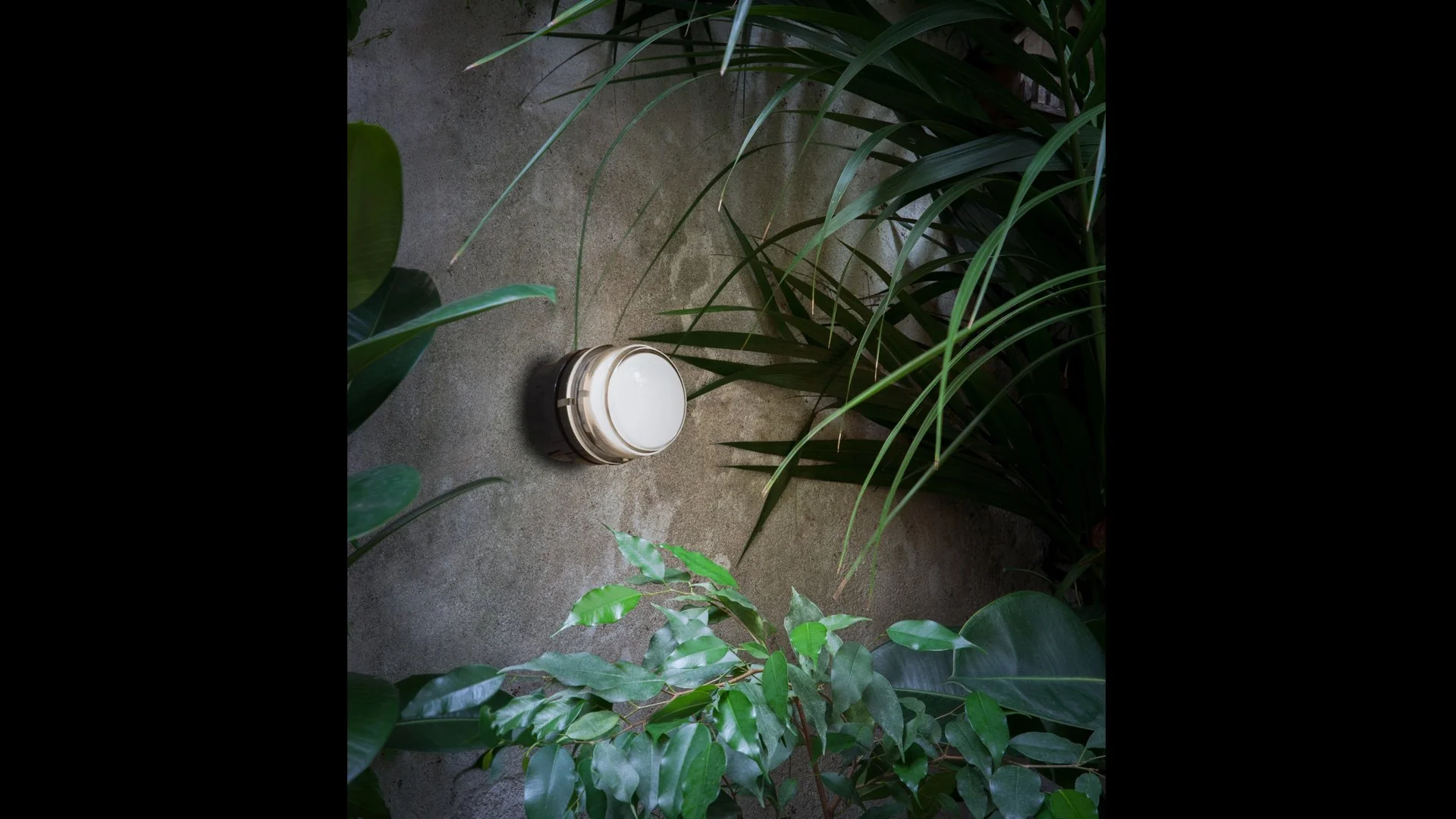 Fresnel Wall and Ceilling Lamp