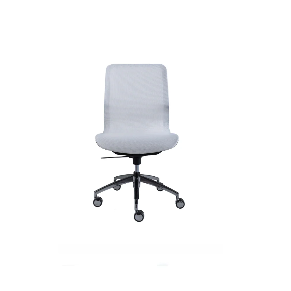 Smartlight EX6 Executive Chair