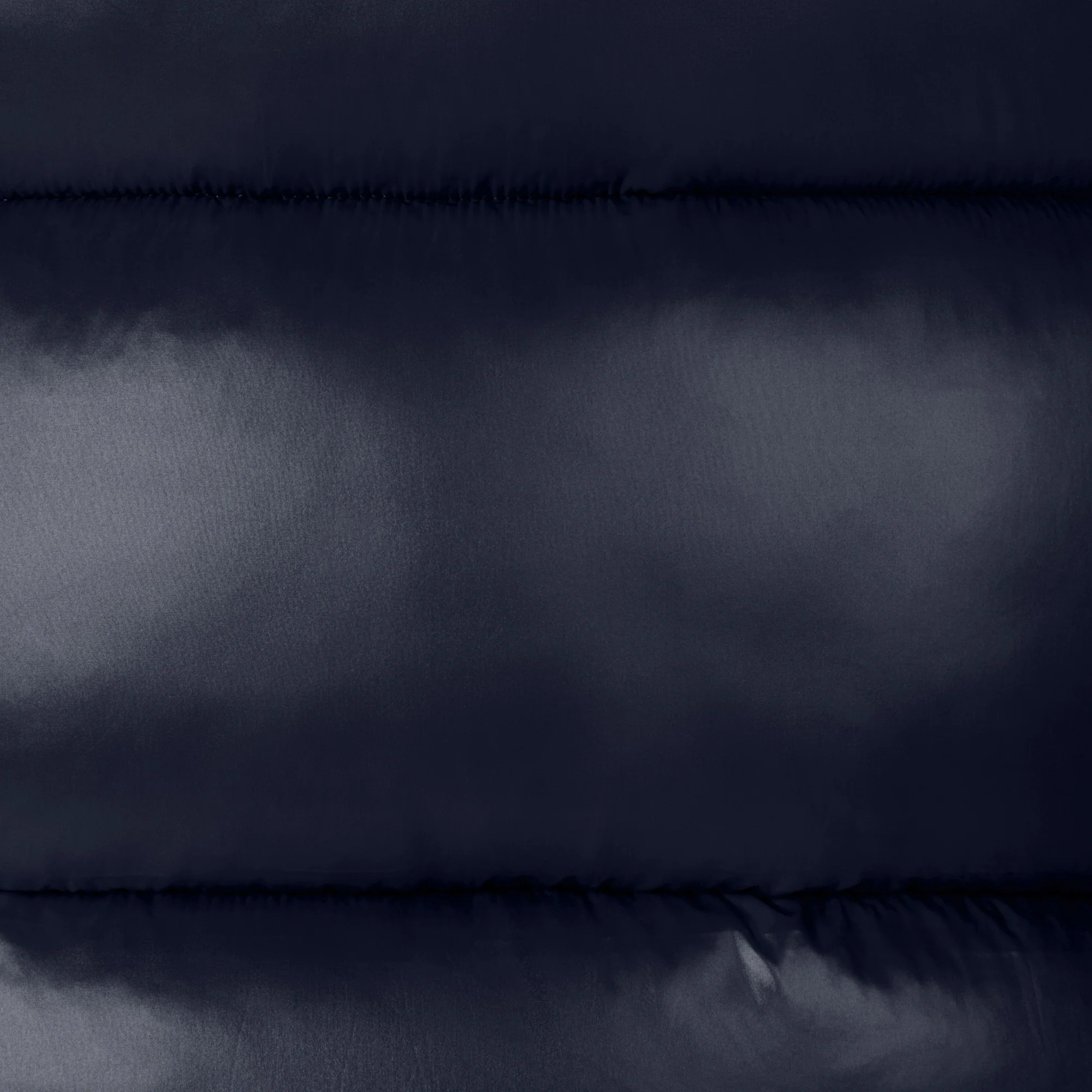 Women's Animal free puffer Jacket Biddy in Blue Black