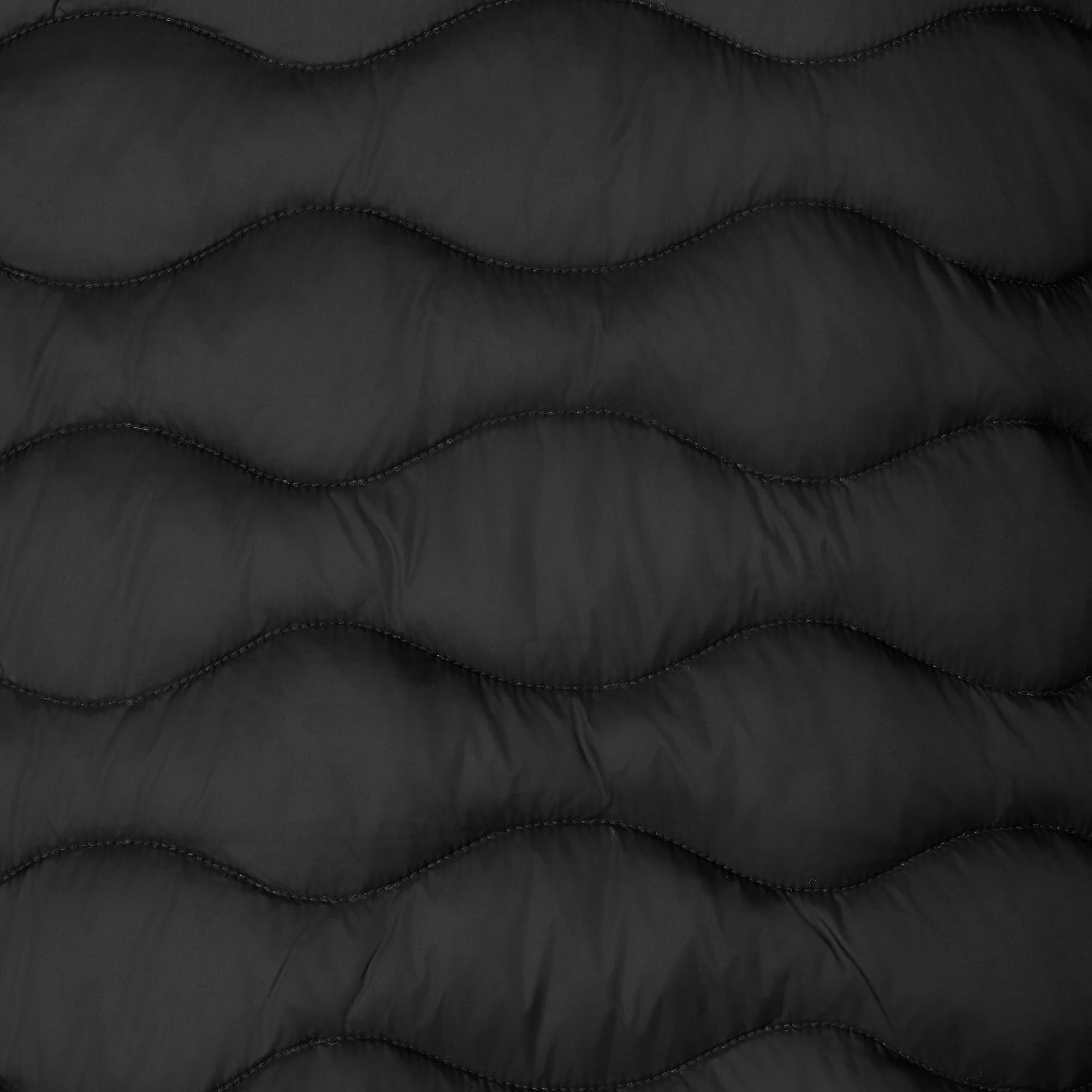 Men's Animal free puffer Jacket Whirl in black