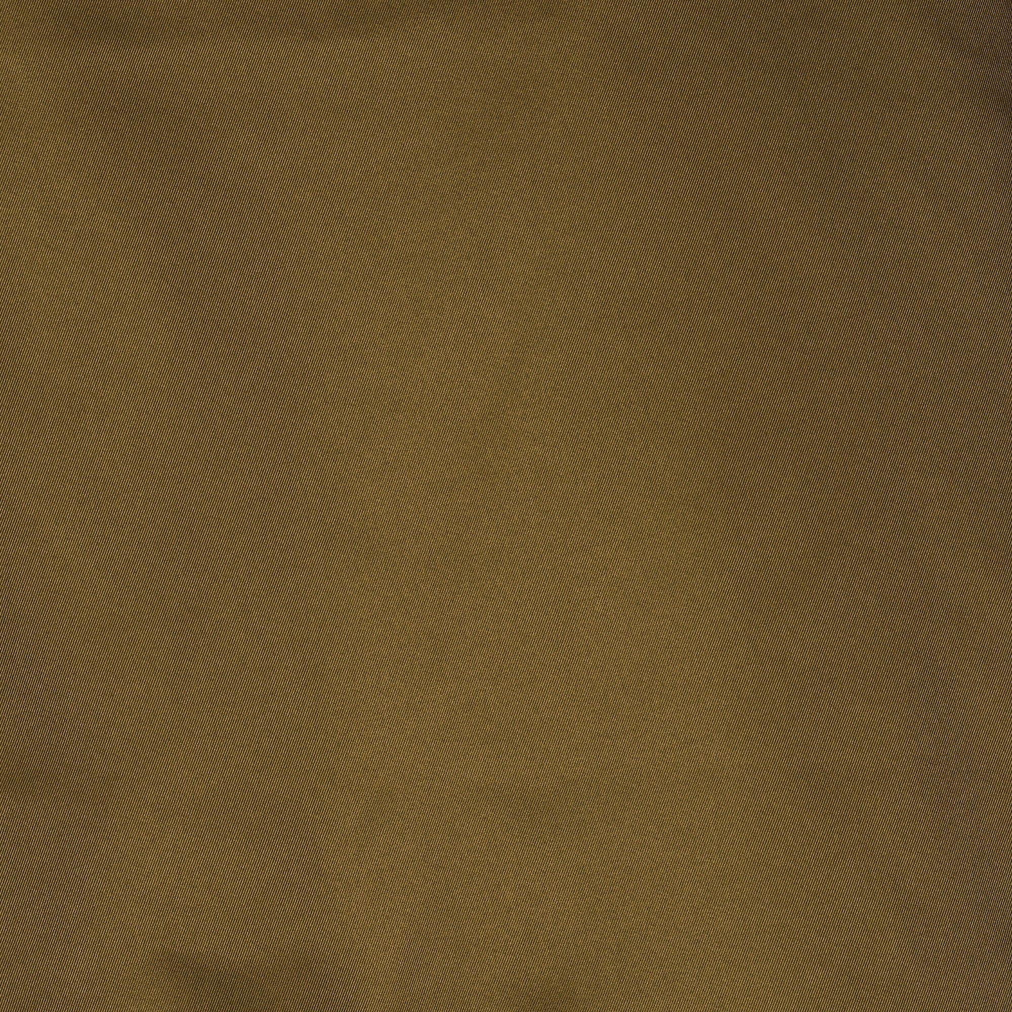 Men's Parka Nicolas in Bark Green