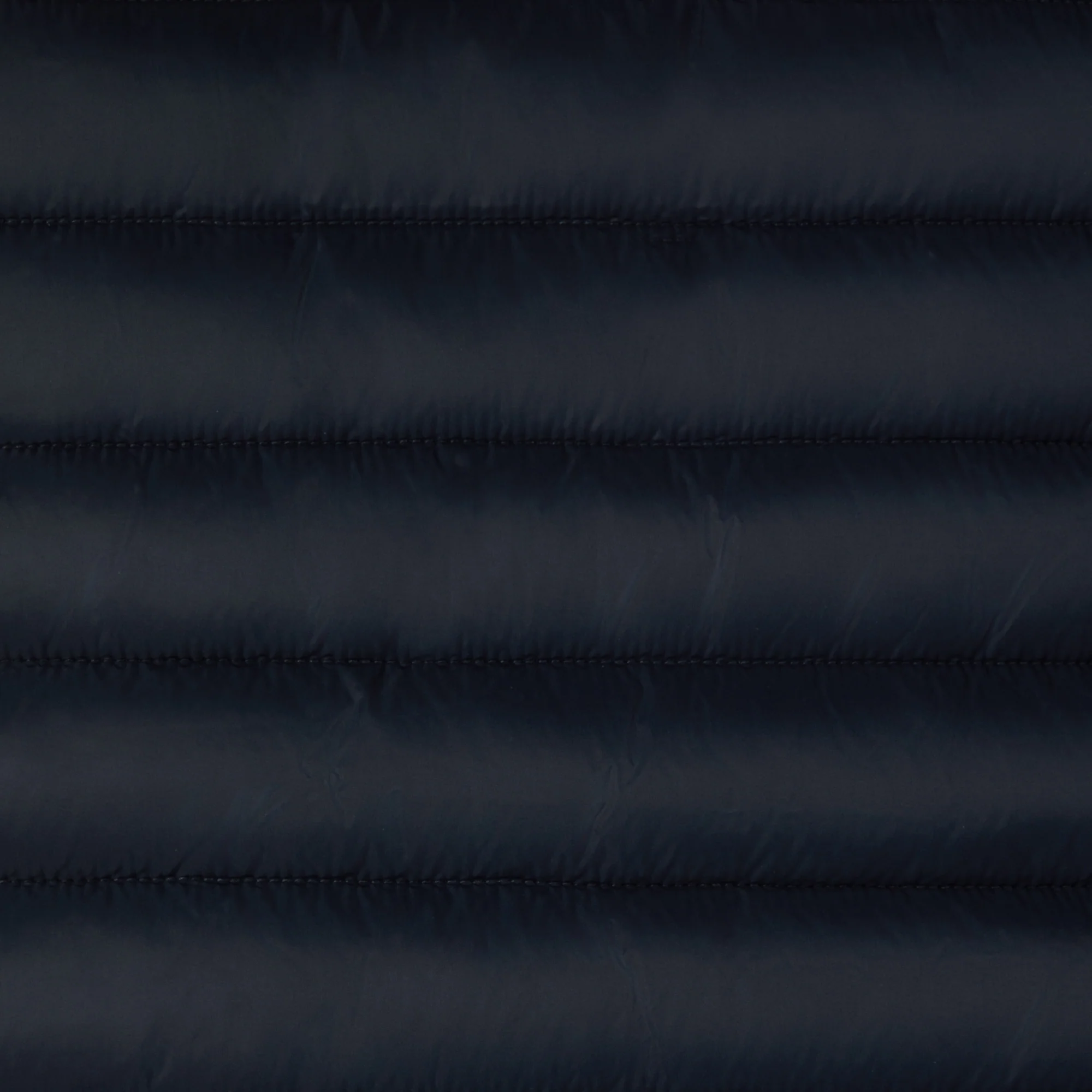 Men's Animal free puffer Jacket Alexander in Blue Black