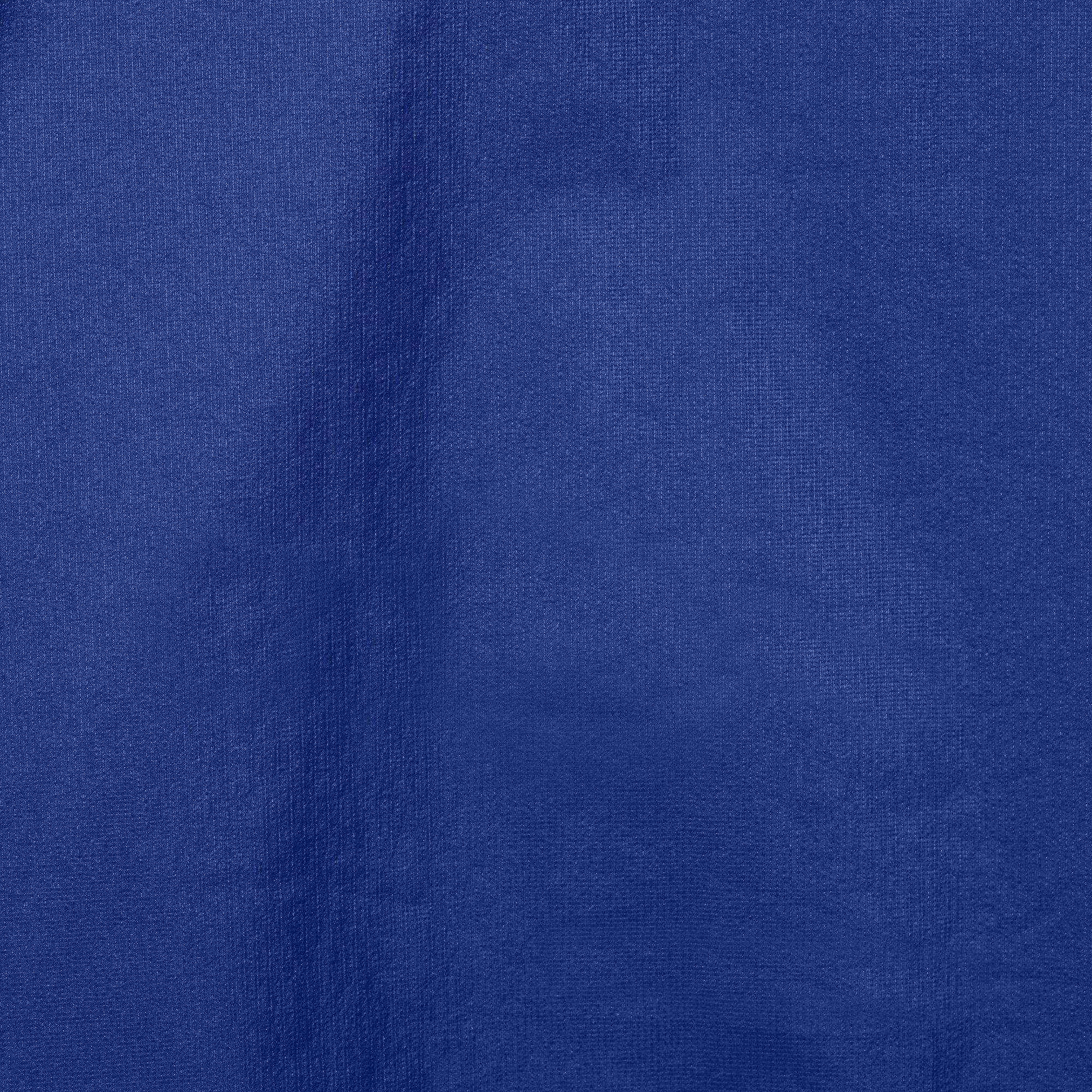 Men's parka Horizon in royal blue