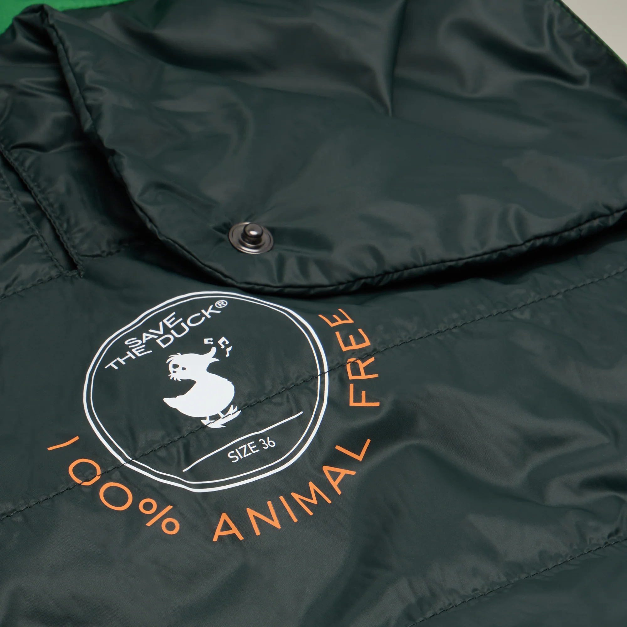 Dog vest Rex in rainforest green