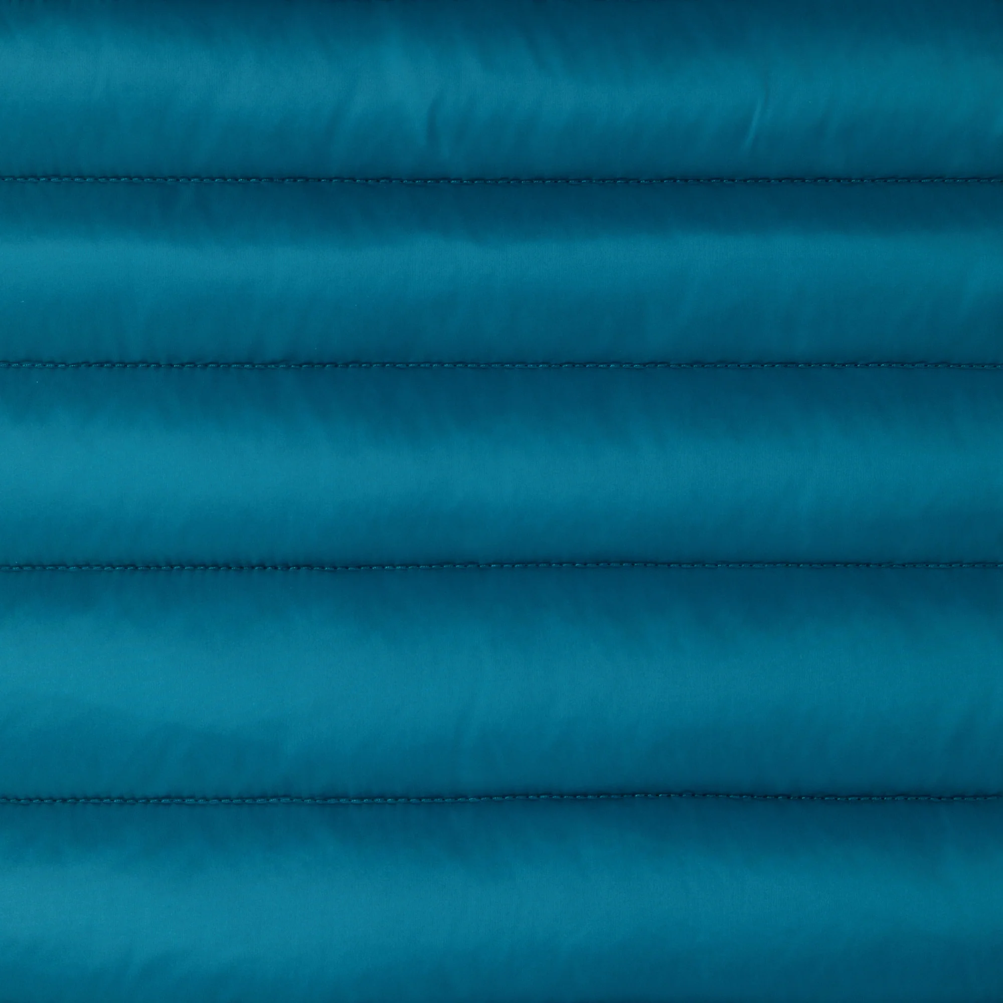 Men's Animal free puffer Jacket Donald in Horizon Blue