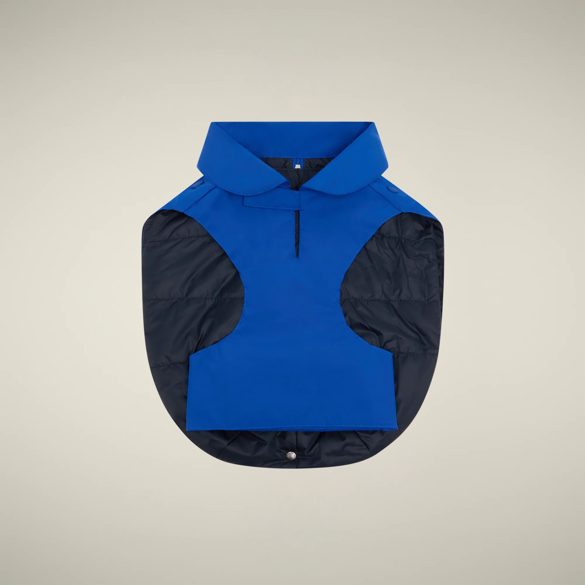 Dog vest Rex in cyber blue