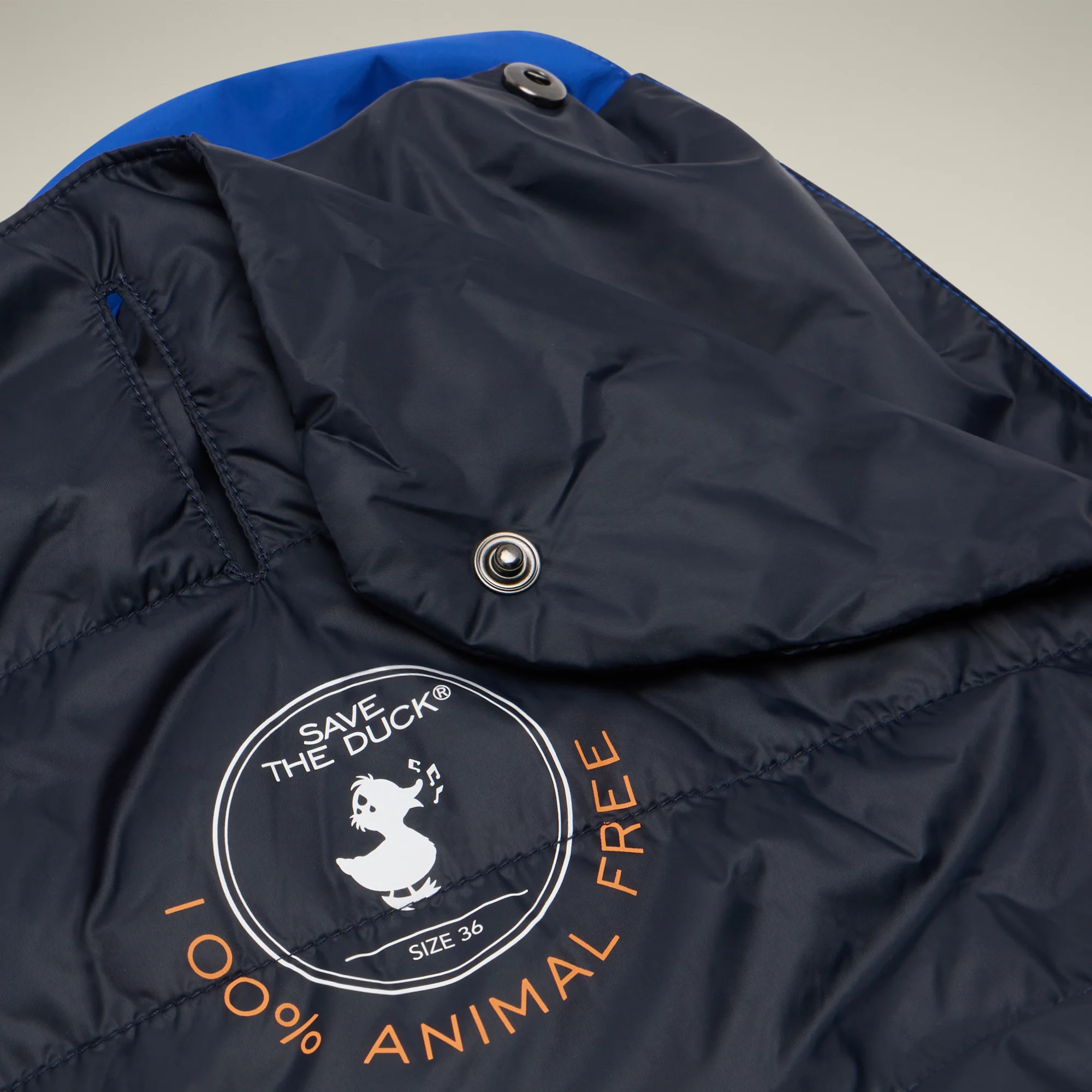 Dog vest Rex in cyber blue