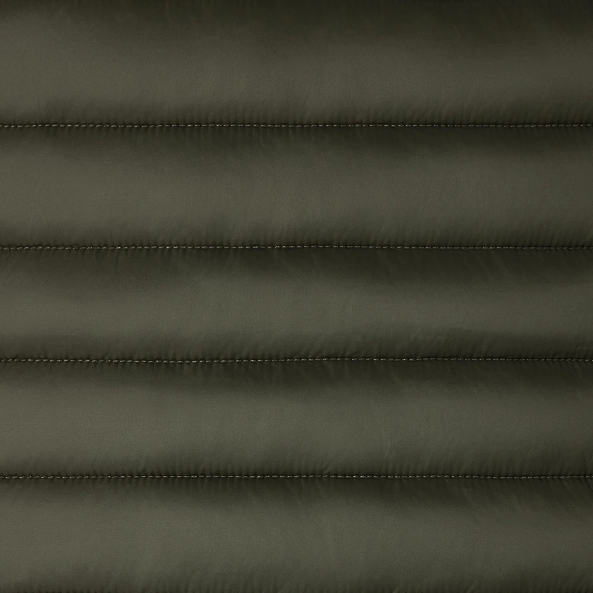 Men's Animal free puffer Jacket Alexander in Land Green