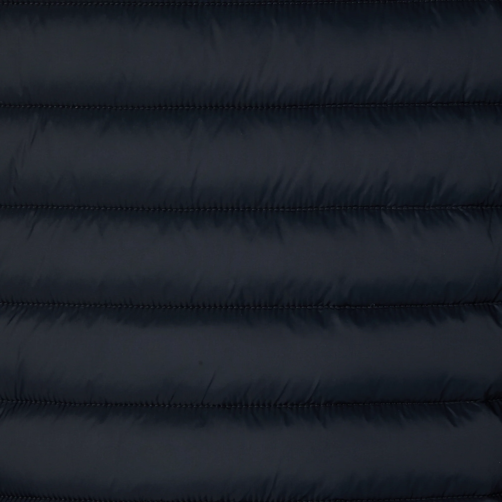 Men's Animal free puffer Jacket Donovan in Blue Black