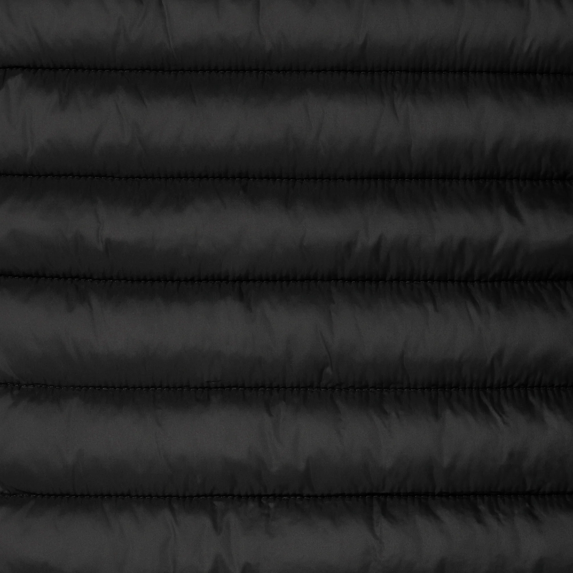 Women's Animal free puffer Jacket Carly in Black