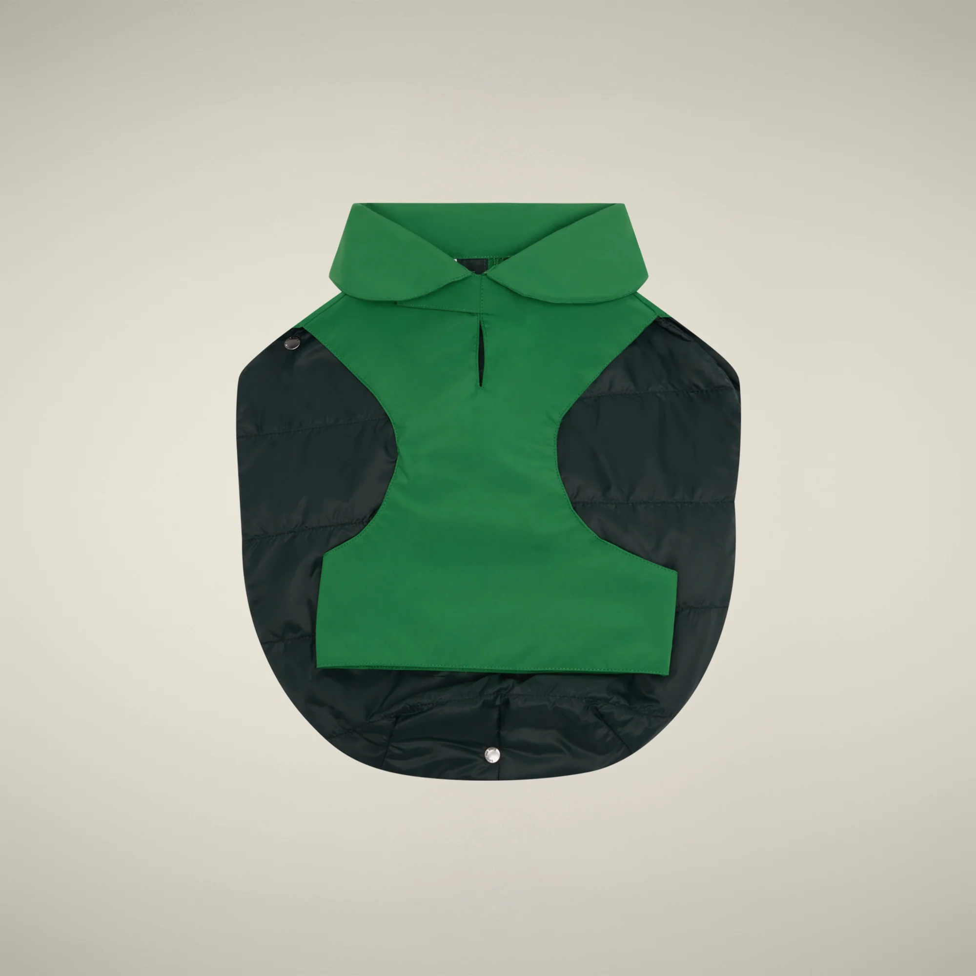 Dog vest Rex in rainforest green